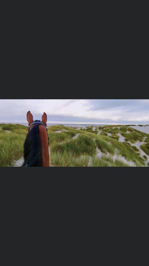 Chambre D'Hote Touquet'S Garden Cucq Esterno foto